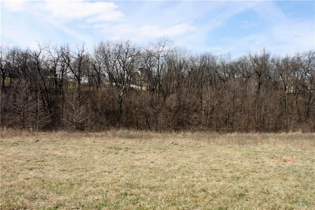 10008 N Cypress Ave, Kansas City, MO 64156
