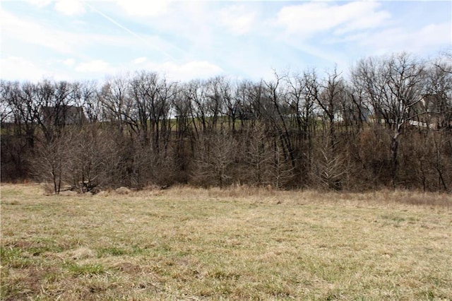 10008 N Cypress Ave, Kansas City, MO 64156