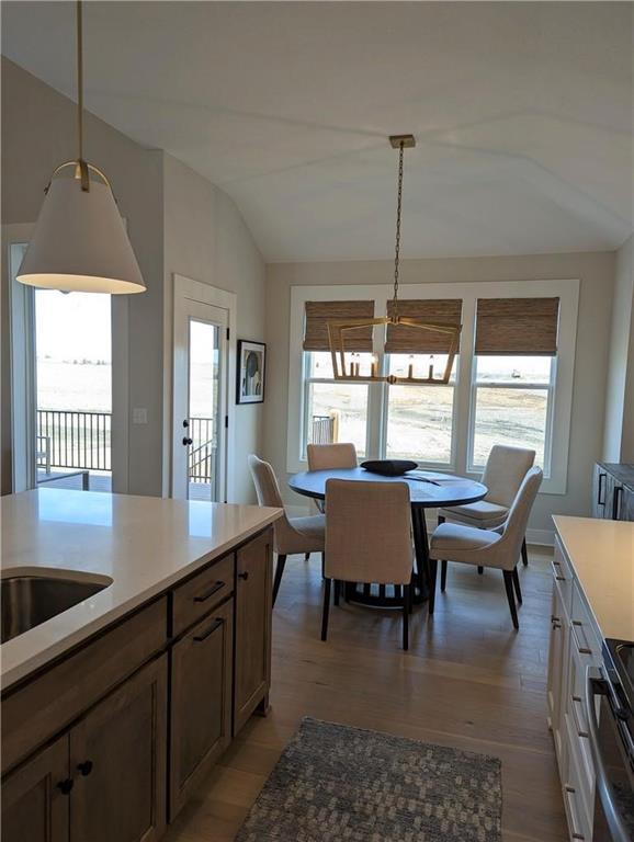 dining room featuring vaulted ceiling, dark wood-type flooring, and a wealth of natural light