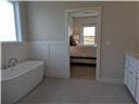 bathroom featuring a wealth of natural light