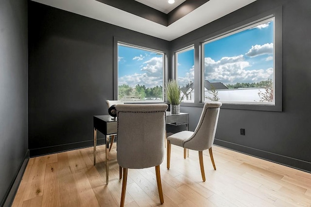 dining area featuring light hardwood / wood-style flooring and a wealth of natural light