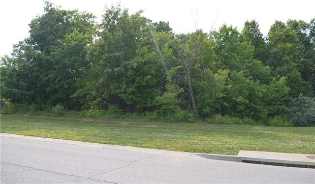 6960 N Norton Ave, Gladstone, MO 64119 - photo 1