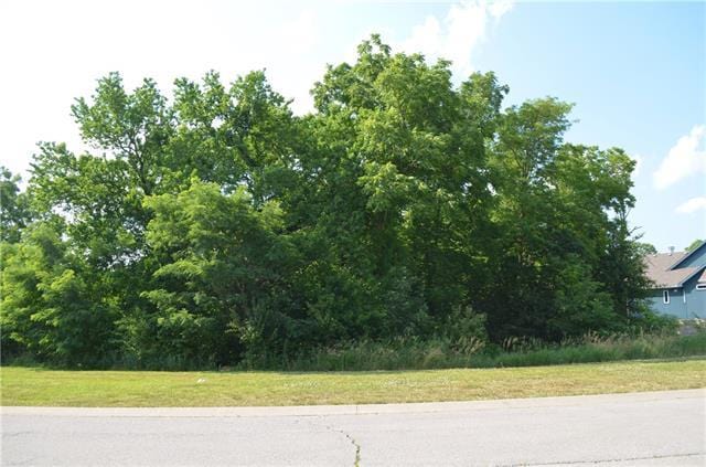 6854 N Norton Ave, Gladstone MO, 64119 land for sale