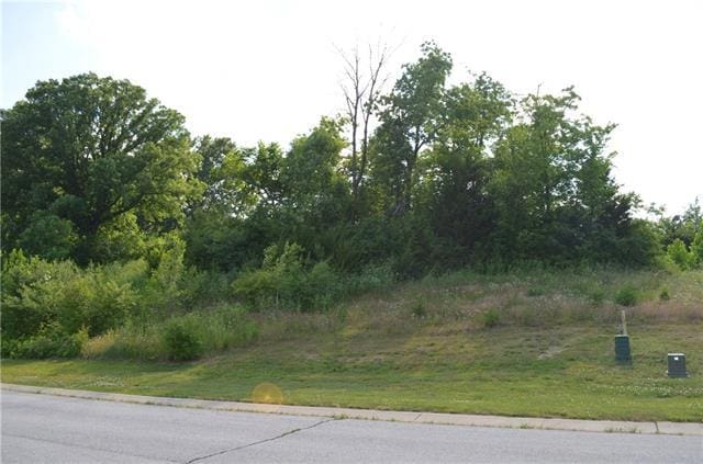 6918 N Myrtle Ct, Gladstone MO, 64119 land for sale