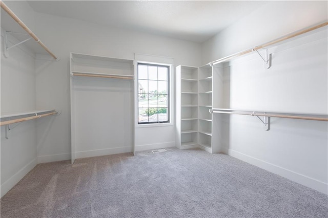 spacious closet featuring light colored carpet