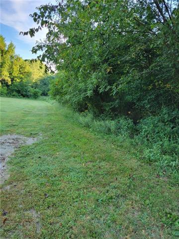 Connie St, Otterville, MO 65348 - photo 4