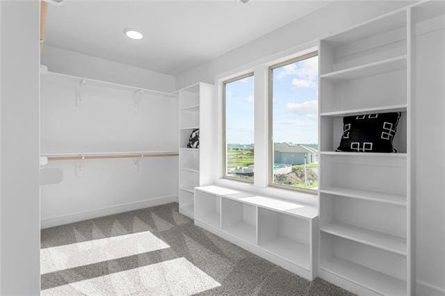 spacious closet featuring light colored carpet