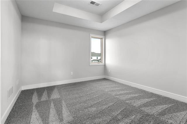 spare room with carpet floors and a raised ceiling