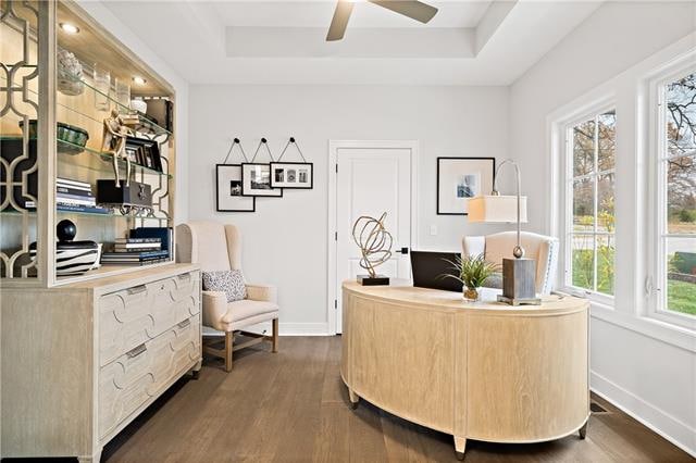 home office with dark hardwood / wood-style flooring, ceiling fan, and a raised ceiling