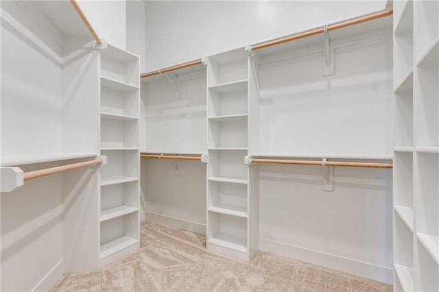 spacious closet with light colored carpet