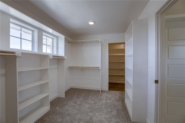 walk in closet featuring light colored carpet