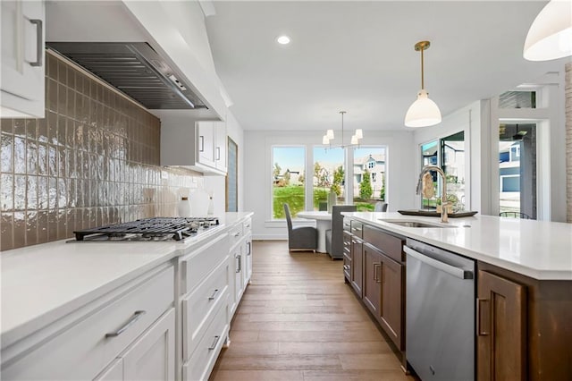 25212 W 92nd St, Lenexa, KS 66227 - kitchen with a sink, custom exhaust hood, light countertops, appliances with stainless steel finishes, and hardwood / wood-style flooring