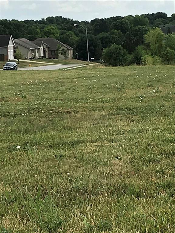 615 W Conway St, Raymore, MO 64083 - photo 4
