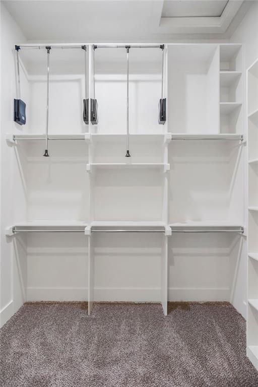 23217 W 124th Pl, Olathe, KS 66061 - walk in closet with carpet