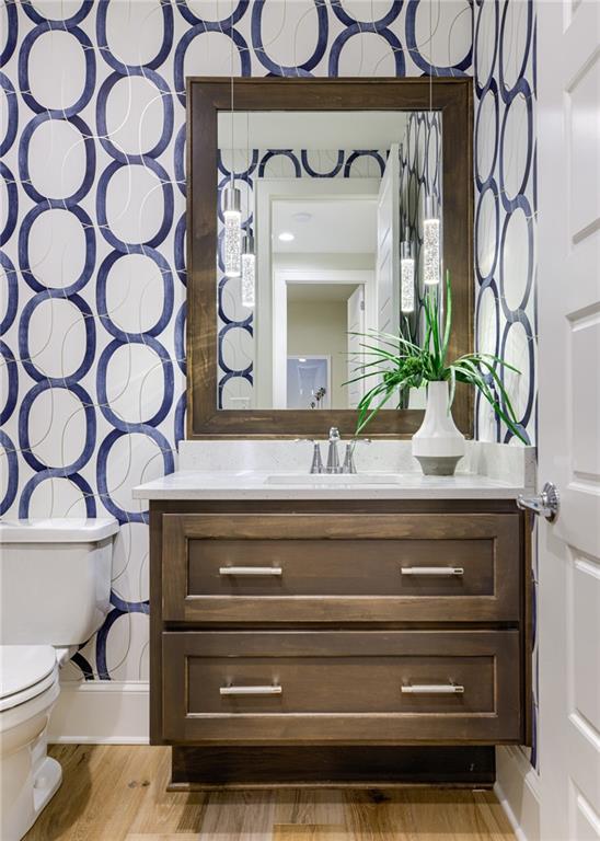 bathroom featuring toilet, vanity, and wood-type flooring