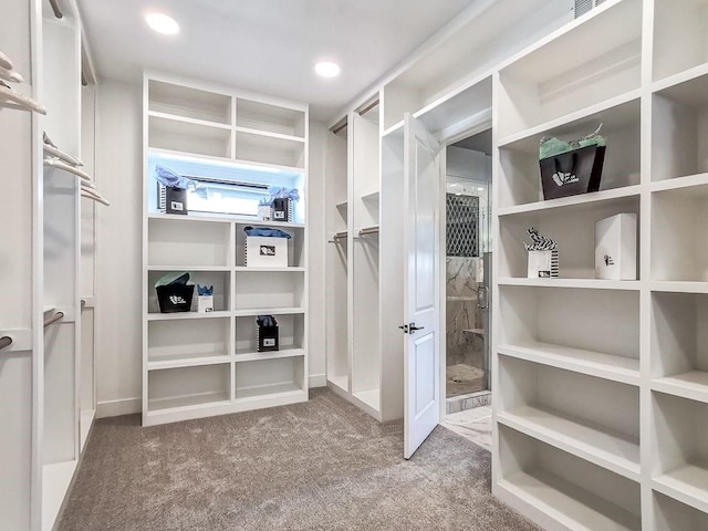 2908 NE 102nd St, Kansas City, MO 64155 - spacious closet featuring dark colored carpet