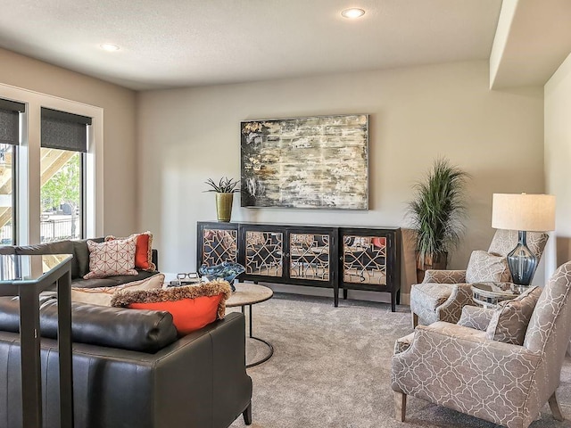 2908 NE 102nd St, Kansas City, MO 64155 - living room featuring light colored carpet