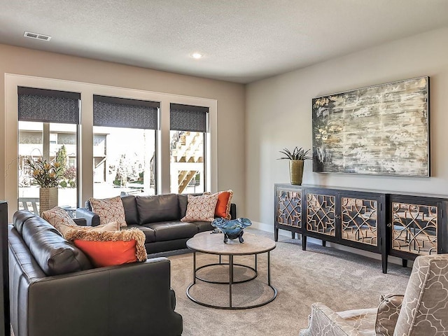 2908 NE 102nd St, Kansas City, MO 64155 - living room with light carpet and a textured ceiling
