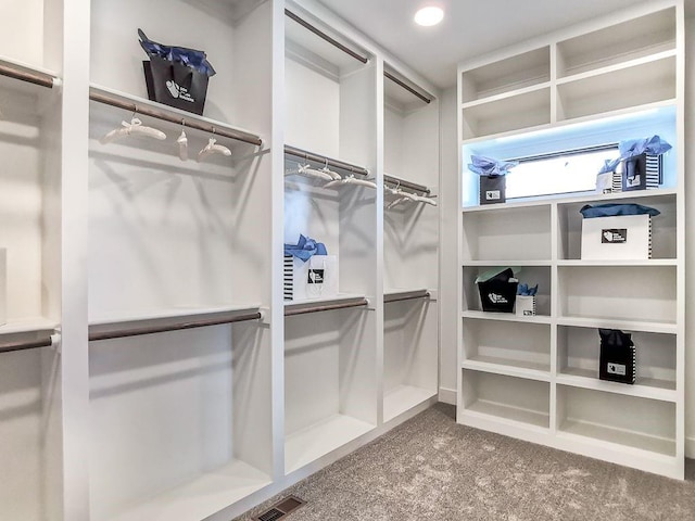 2908 NE 102nd St, Kansas City, MO 64155 - spacious closet with dark carpet