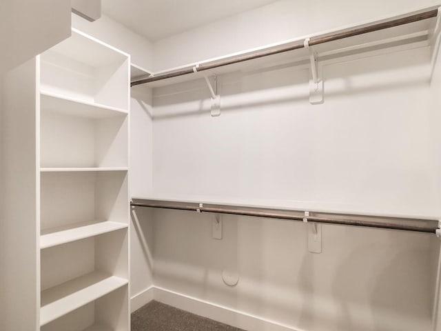 2908 NE 102nd St, Kansas City, MO 64155 - walk in closet featuring carpet