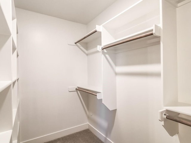 2908 NE 102nd St, Kansas City, MO 64155 - walk in closet featuring dark carpet