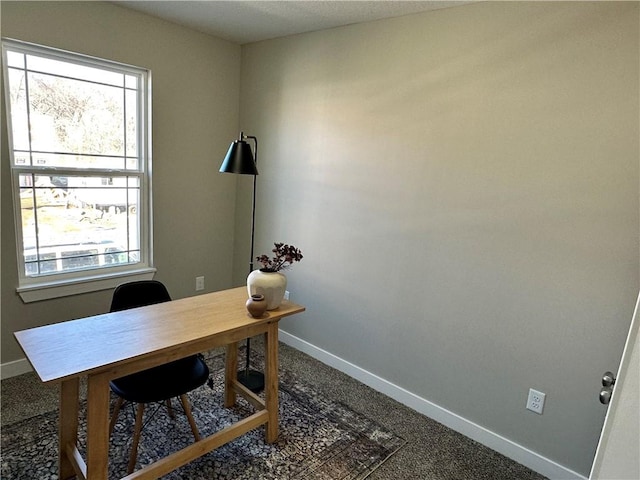 carpeted office with a wealth of natural light