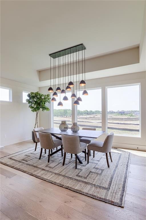 dining area with light hardwood / wood-style flooring and a wealth of natural light