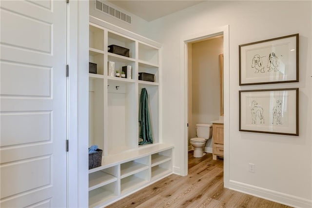 mudroom featuring light hardwood / wood-style floors