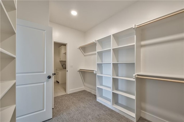 walk in closet with light carpet and sink