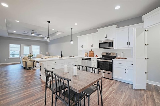 kitchen featuring ceiling fan, a tray ceiling, hardwood / wood-style floors, stainless steel appliances, and hanging light fixtures