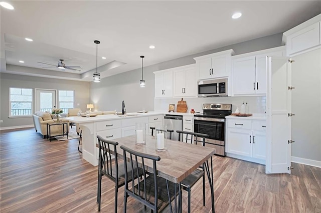 kitchen featuring a raised ceiling, ceiling fan, stainless steel appliances, and hardwood / wood-style floors