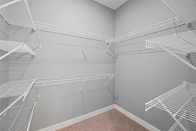 walk in closet with carpet