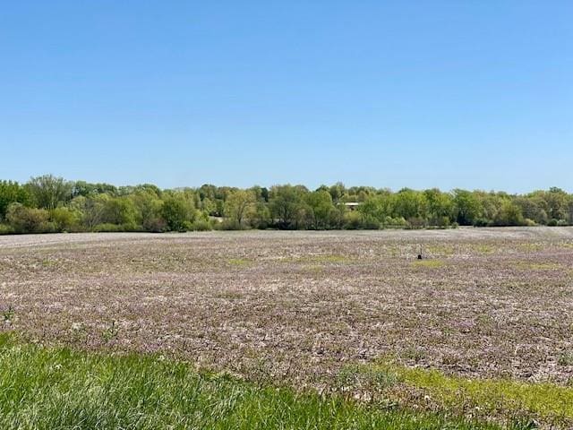 10A SW 169th Hwy, Trimble MO, 64492 land for sale