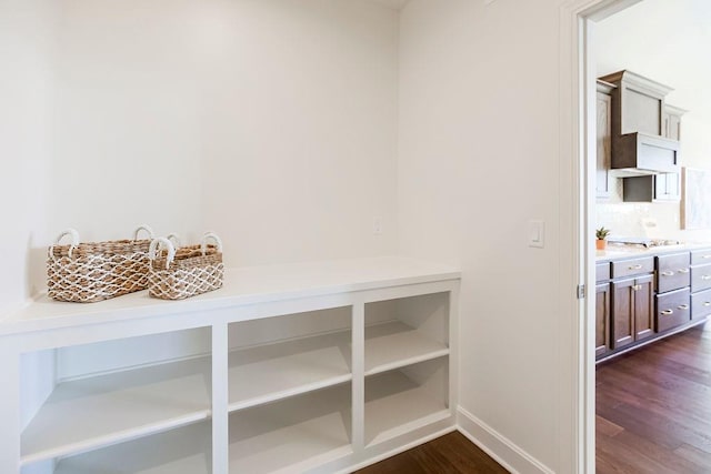 mudroom with dark hardwood / wood-style flooring