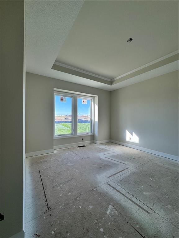 spare room with a raised ceiling