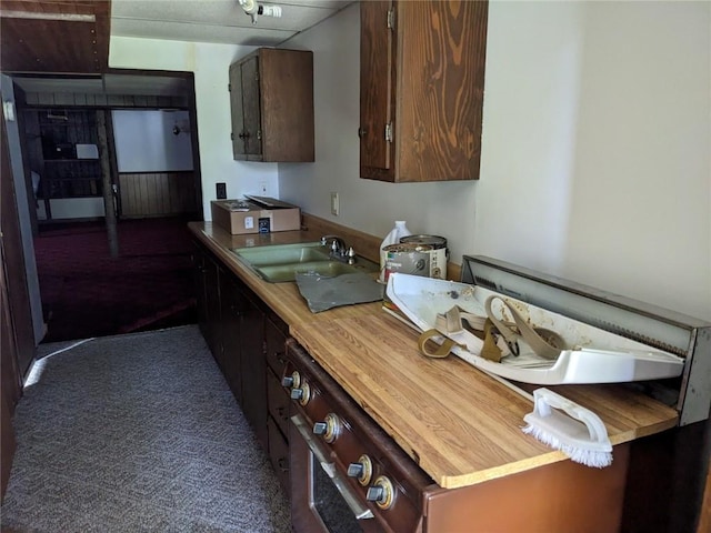 kitchen featuring dark carpet, dark brown cabinets, and sink