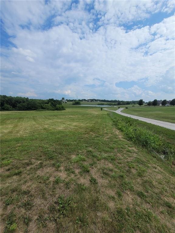 Listing photo 3 for LOT24 Raspberry Swirl Rd, Odessa MO 64076