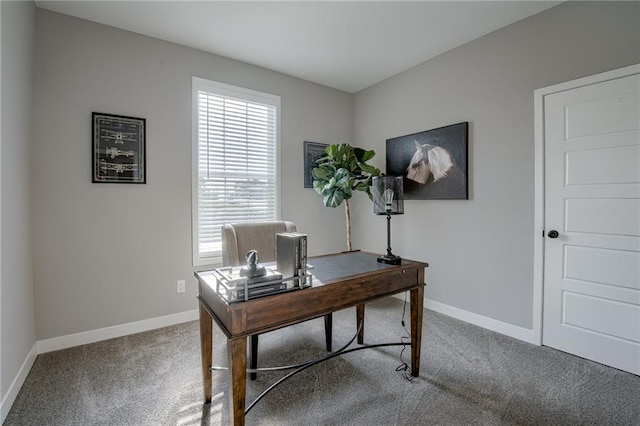 office featuring carpet flooring