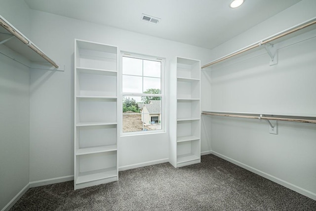 spacious closet with dark carpet