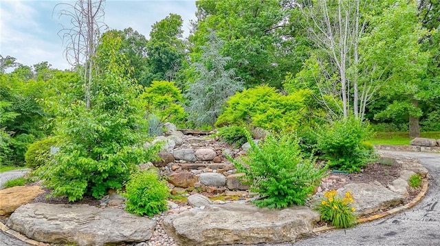 29800 E 65th St, Blue Springs, MO 64014 - view of yard