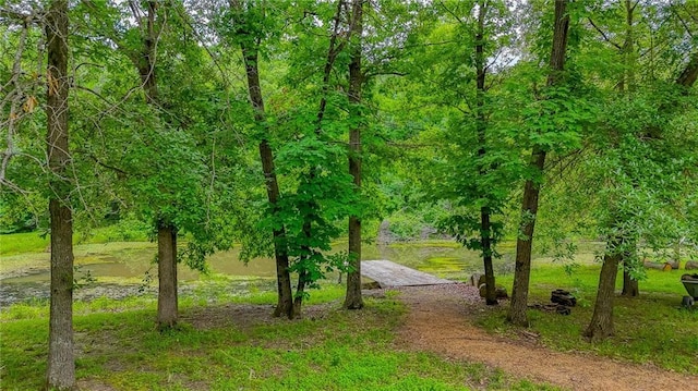 29800 E 65th St, Blue Springs, MO 64014 - view of property's community