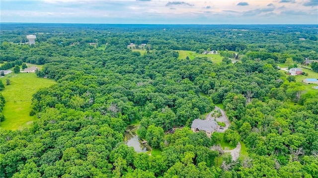 29800 E 65th St, Blue Springs, MO 64014 - aerial view of property and surrounding area with a forest