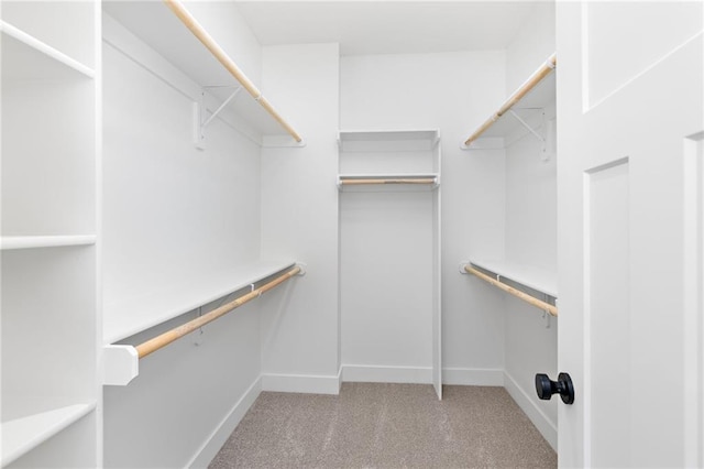 spacious closet featuring light colored carpet