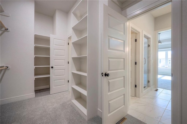 spacious closet with light carpet