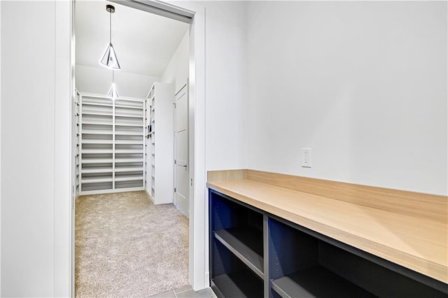 spacious closet featuring light carpet