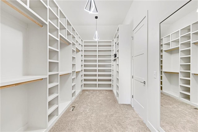 17321 Gillette St, Overland Park, KS 66221 - walk in closet with carpet floors