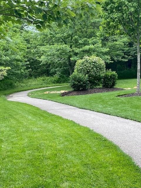 17321 Gillette St, Overland Park, KS 66221 - view of home's community with a yard and a view of trees