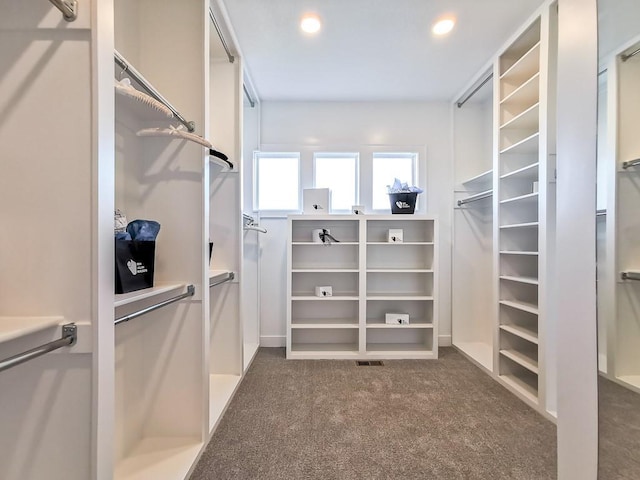 spacious closet with carpet