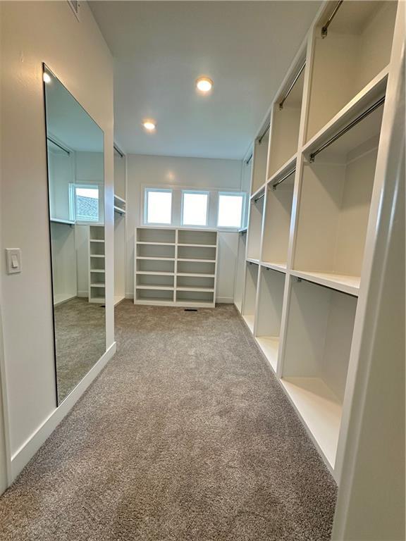 walk in closet with carpet flooring