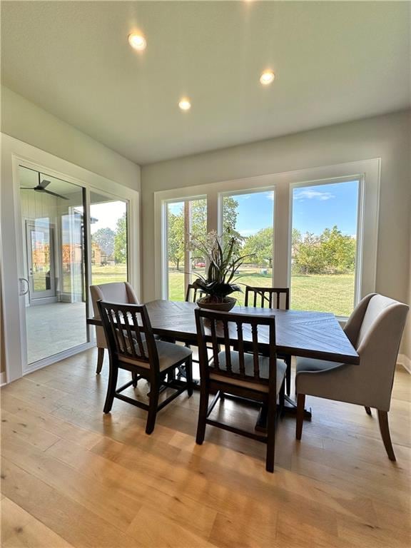 dining room featuring a wealth of natural light and light hardwood / wood-style flooring